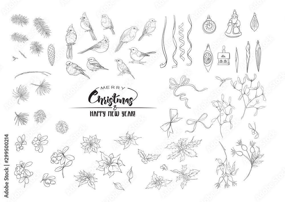 Winter birds, ribbons, Christmas decoration and wreath of spruce, pine, poinsettia, dog rose, cowberry, cranberry, fir. Set of elements for design. Outline hand drawing vector illustration..