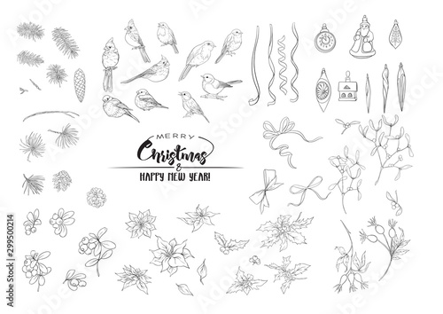 Winter birds, ribbons, Christmas decoration and wreath of spruce, pine, poinsettia, dog rose, cowberry, cranberry, fir. Set of elements for design. Outline hand drawing vector illustration..
