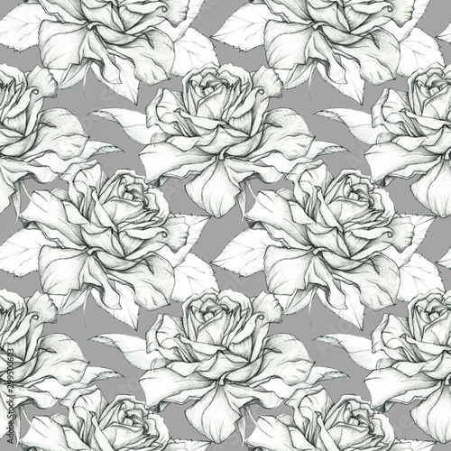 Seamless graphic pattern of beautiful roses. Pensil drawing. Vintage floral background.