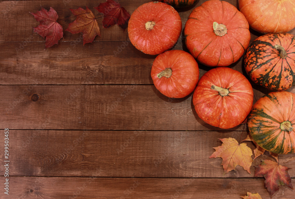 Orange pumpkins and dry fall maple leaves on dark brown wooden table. Welcome Autumn, harvest festival, Halloween, Thanksgiving concept. Top view, copy space