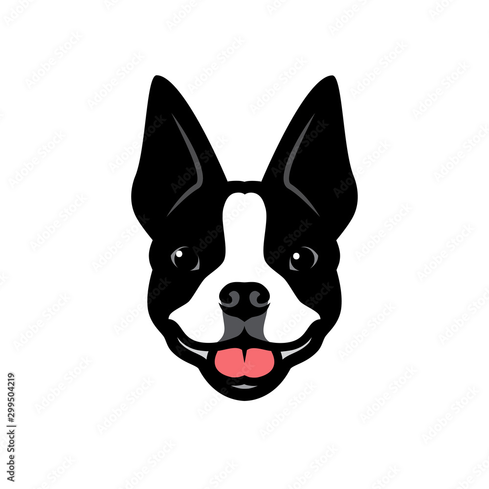 Boston terrier dog - vector illustration Boston terrier dog - vector illustration