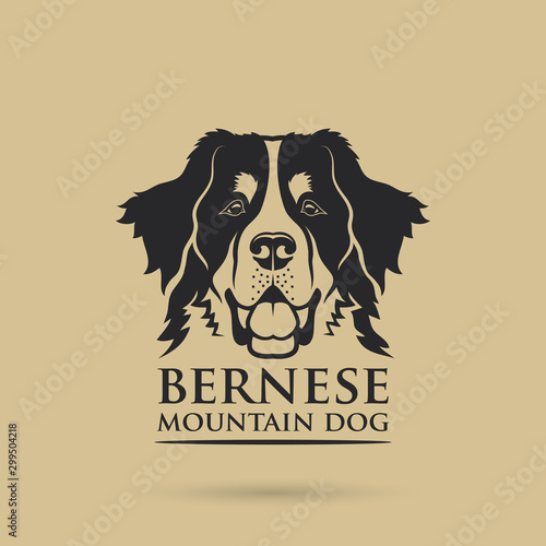 Bernese mountaing dog - isolated vector illustration photo