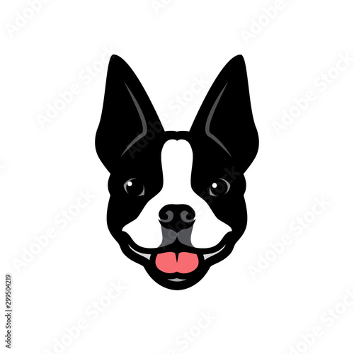 Boston terrier dog - vector illustration