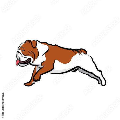English bulldog - isolated outlined vector illustration