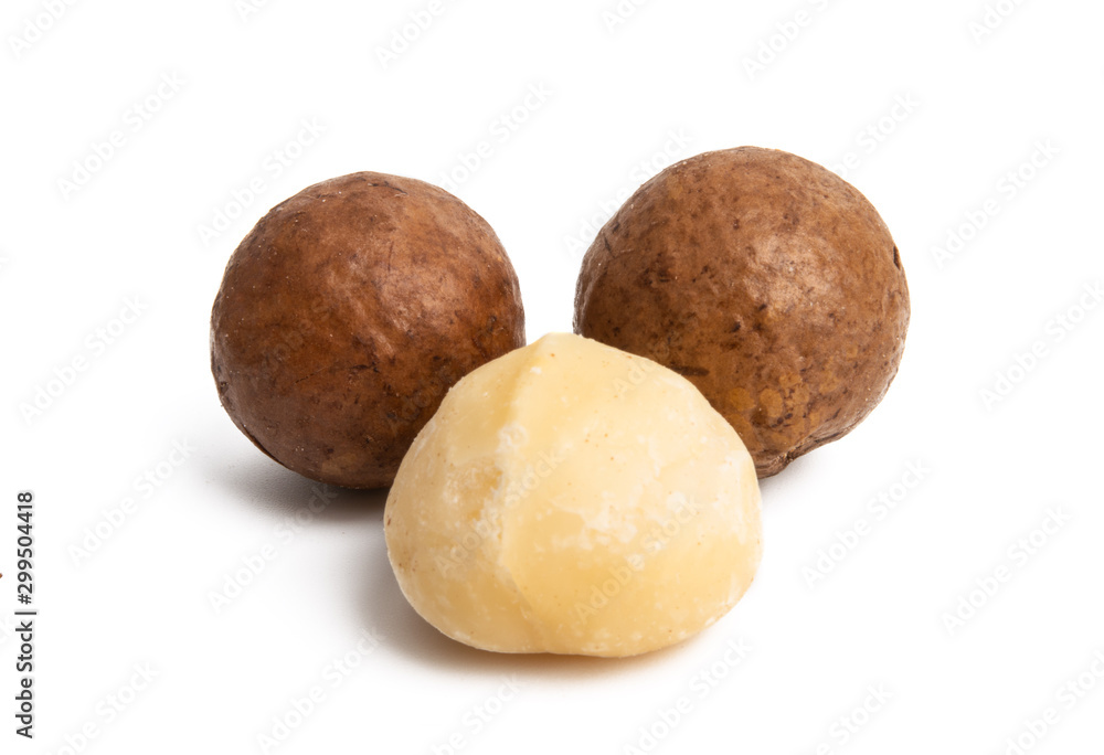 macadamia nuts isolated macadamia nuts isolated