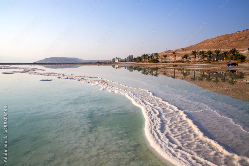 Reflection of mountains and palm trees in the water of the Dead Sea with salt formations