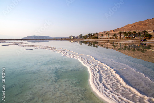 Reflection of mountains and palm trees in the water of the Dead Sea with salt formations © Emma