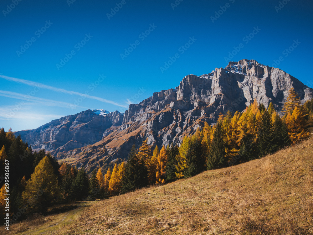 Naklejka premium Switzerland, fall colors