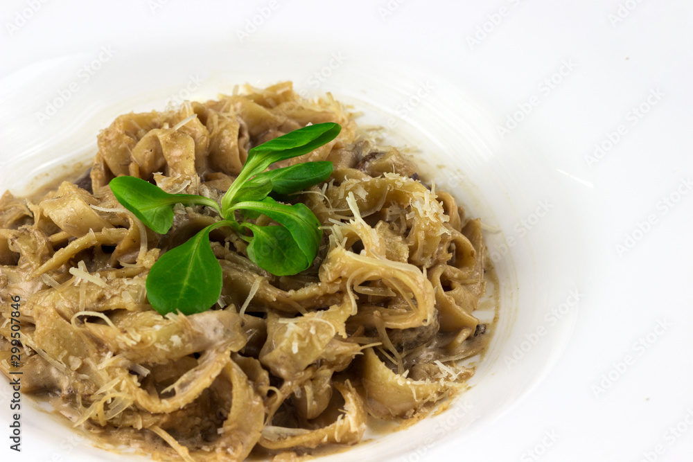 pasta with mazzarella cheese in a plate pasta with mazzarella cheese in a plate