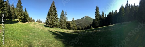 mountain valley near the Khomyak mountain in the Carpathian mountains