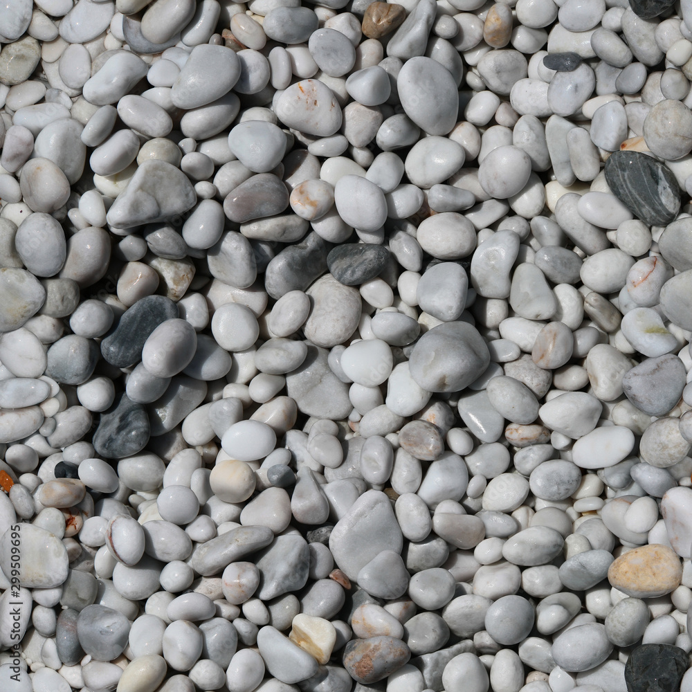 Seamless texture of pebble beach. Marina di Pisa. Italy. Seamless texture of pebble beach. Marina di Pisa. Italy.