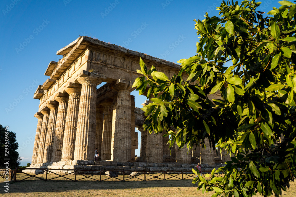 Fototapeta premium Archaeological site, the Temple of Neptune