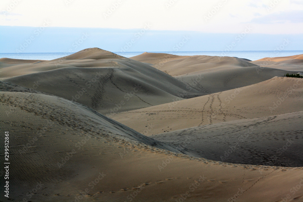 Duenen_Maspalomas