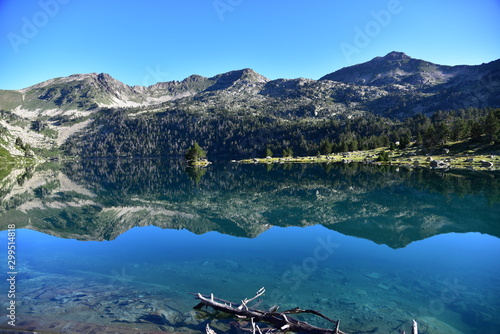 montagne pyrénéens 