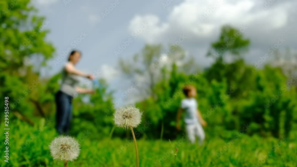 Happy family mother and child play soap bubbles on a green spring meadow, beautiful. Happy family mother and child play soap bubbles on a green spring meadow, beautiful.