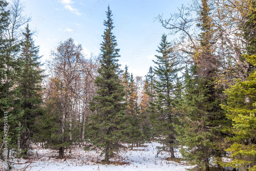 Beautiful landscape, mount Iremel, South Ural, Republic of Bashkortostan, Russia Beautiful landscape, mount Iremel, South Ural, Republic of Bashkortostan, Russia