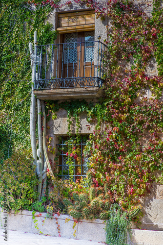 Cuacos de Yuste, detail of cactus and typical house plants in Extremadura, Spain. photo