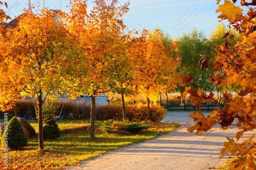 Fototapeta Naklejka Na Ścianę i Meble -  Polska złota jesień