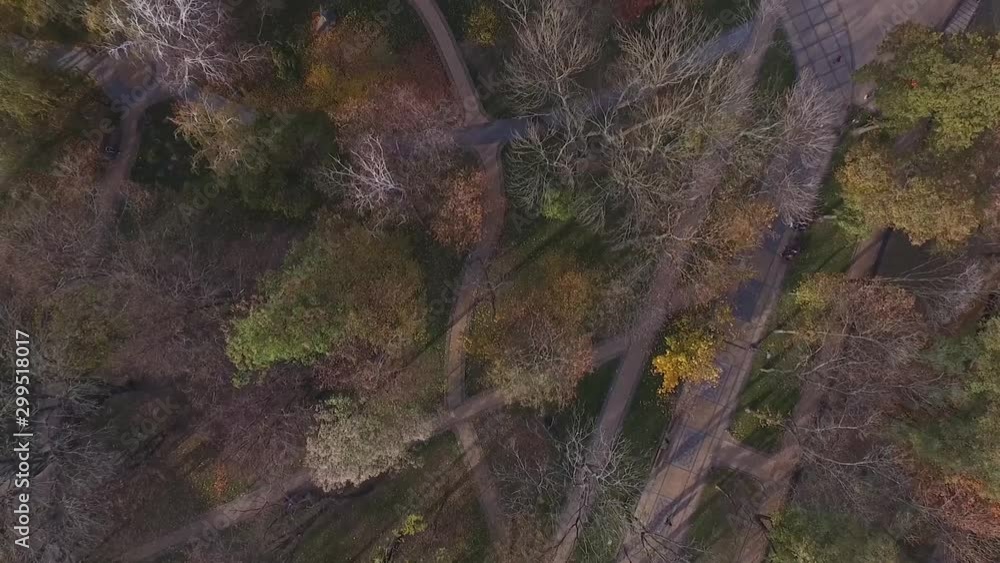 Aerial view of a park in autumn Aerial view of a park in autumn