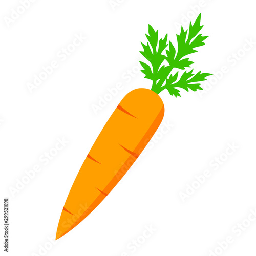 Fényképezés Crunchy carrot vector icon