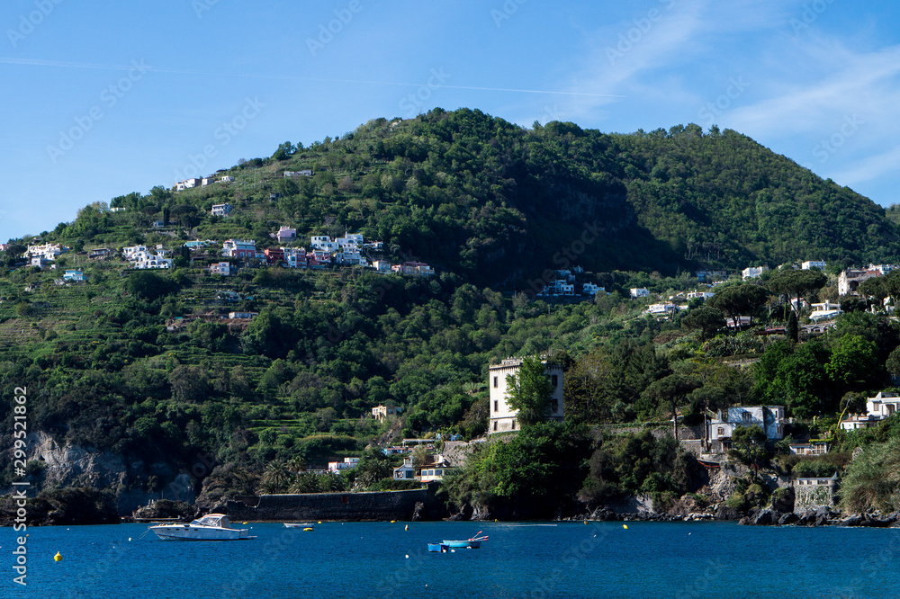 Fototapeta premium Wyspa Ischia w południowych Włoszech
