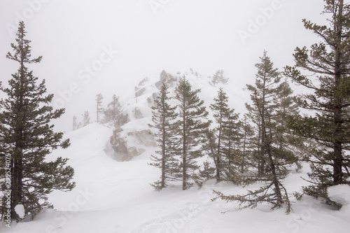 Beautiful winter forest. Zyuratkul national Park, Chelyabinsk region, South Ural, Russia