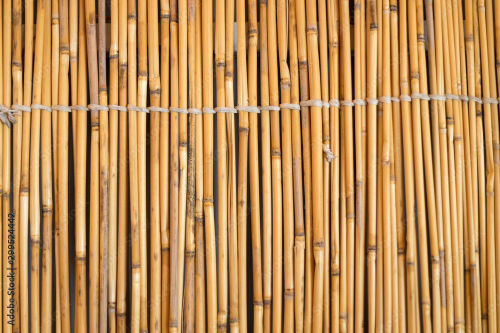 Cane background. Traditional bamboo cane fence. Asian style Cane background. Traditional bamboo cane fence. Asian style