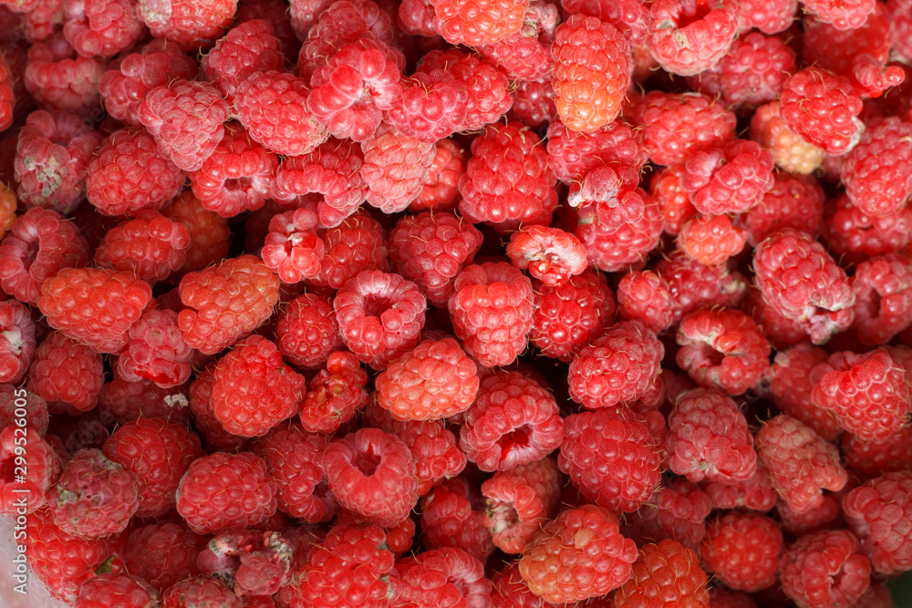 a natural texture of ripe garden raspberries a natural texture of ripe garden raspberries