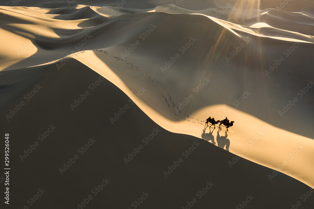 Aerial view from a drone of a nomad crossing massive sand dunes on bactrian camel caravan. Gobi desert, Mongolia.