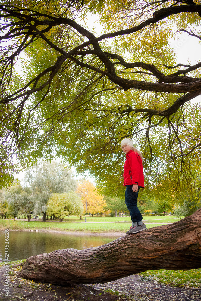 Girl is walking in the Park in autumn, she is standing on the trunk of a large tree Girl is walking in the Park in autumn, she is standing on the trunk of a large tree