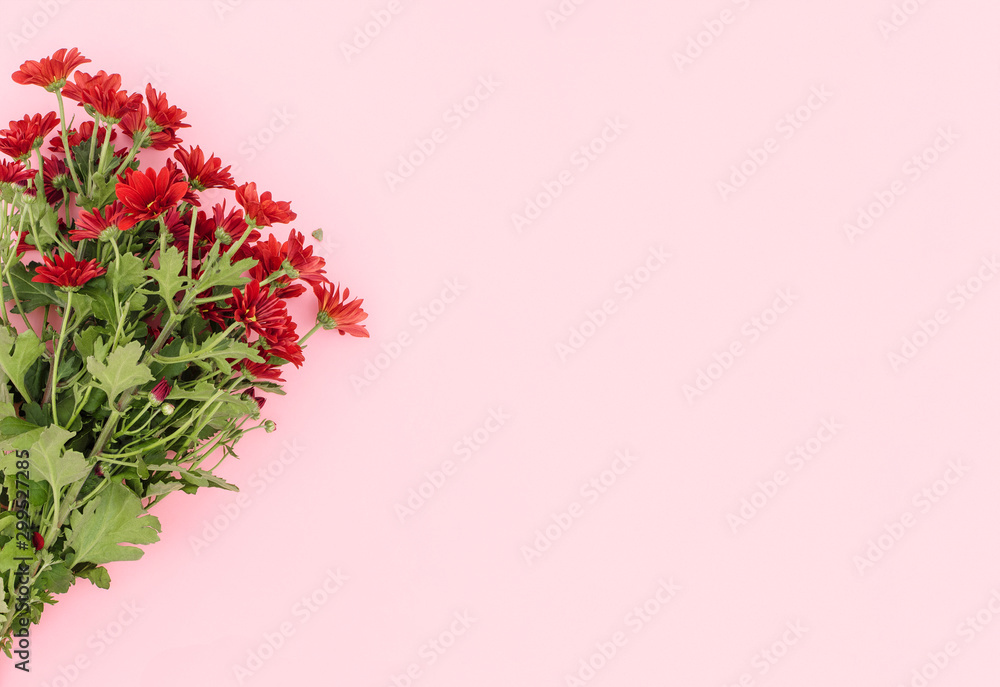 Spring flowers. Bouquet of red flowers on pink background. Flat lay, top view. Minimal floral concept. Flower background. Add your text. Spring flowers. Bouquet of red flowers on pink background. Flat lay, top view. Minimal floral concept. Flower background. Add your text.