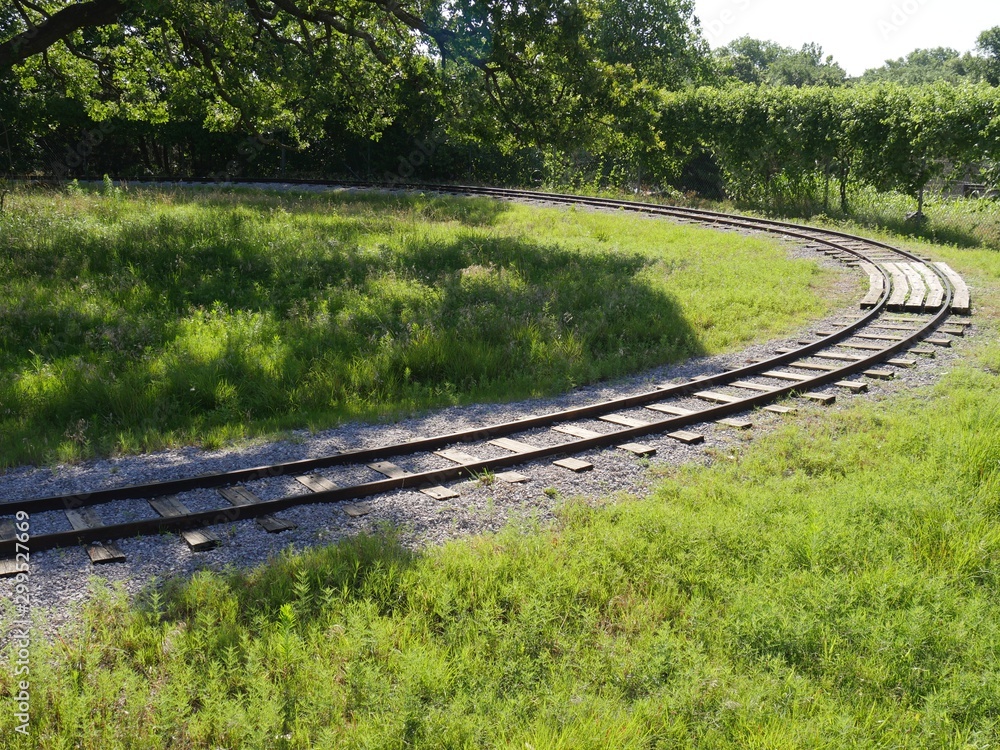 Medium wide shot of a railroad track inside a park