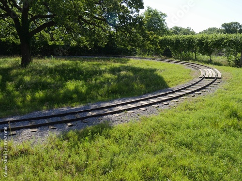 Wide shot of a railroad track inside a park