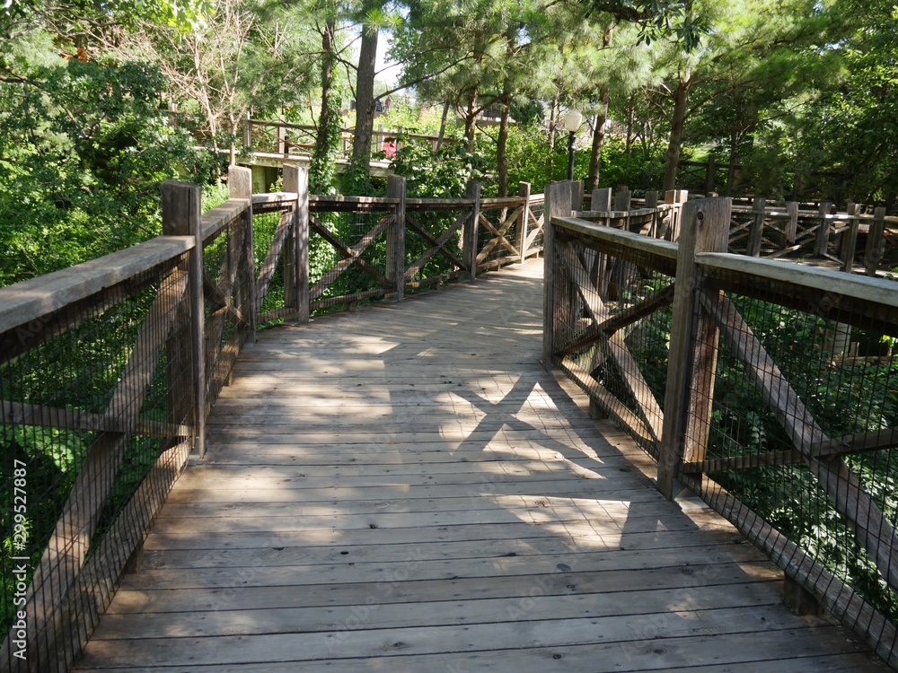 Wooden walkway with protective wire fence at a park