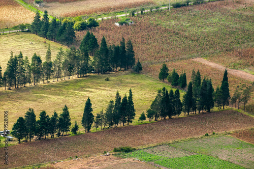 Sowings in the crater of the Pululahua volcano photo