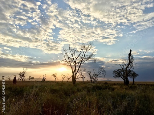 Sunset over Tanzanian savannah