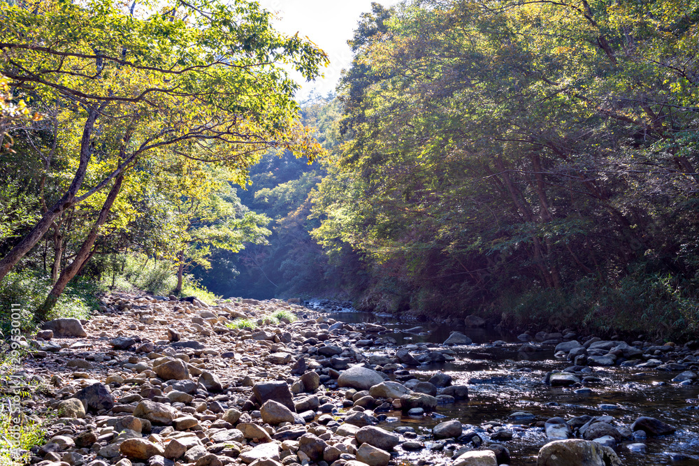 Hiking trail along Kamakura gorge in Hyogo prefecture, Japan in autumn Hiking trail along Kamakura gorge in Hyogo prefecture, Japan in autumn