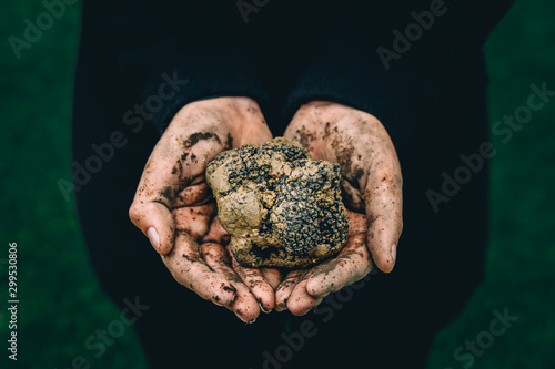 Truffle hunting