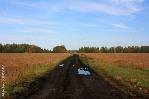 Dirty country road in the field