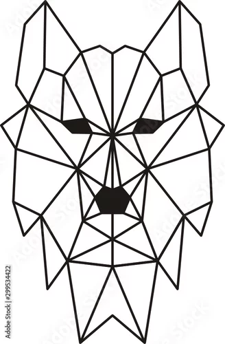 Fototapeta samoprzylepna Wilk