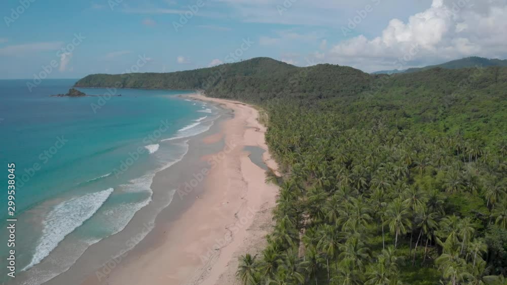 Palm trees garden with blue waters in front of the beach in El Nido, drone shot at Nacpan Beach in Palawan, Philippines
