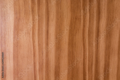 Wood texture. Texture background. Texture element. Wallpaper.