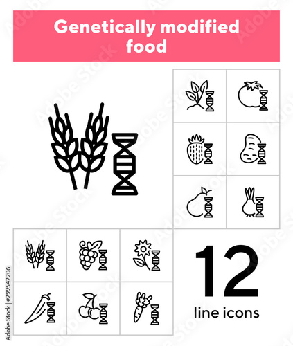 Genetically modified food line icon set. Gene, grain, fruit, vegetables. Food concept. Can be used for topics like genetics, agriculture, GM food