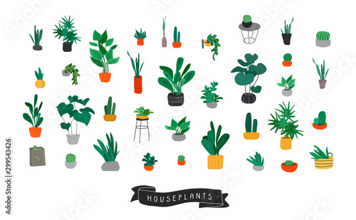 Potted plants collection. Urban jungle, trendy home decor with plants, cactus, tropical leaves. Set of house indoor plant vector hand drawn cartoon
