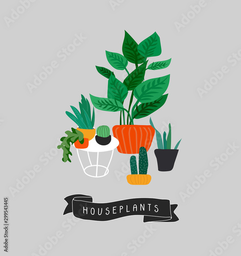Potted plants collection. Urban jungle, trendy home decor with plants, cactus, tropical leaves. Set of house indoor plant vector hand drawn cartoon