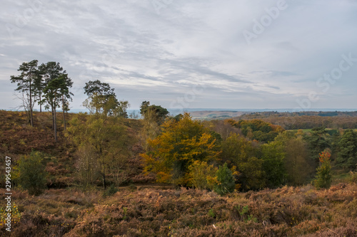 Autum walk on Black, Southdown National Park photo