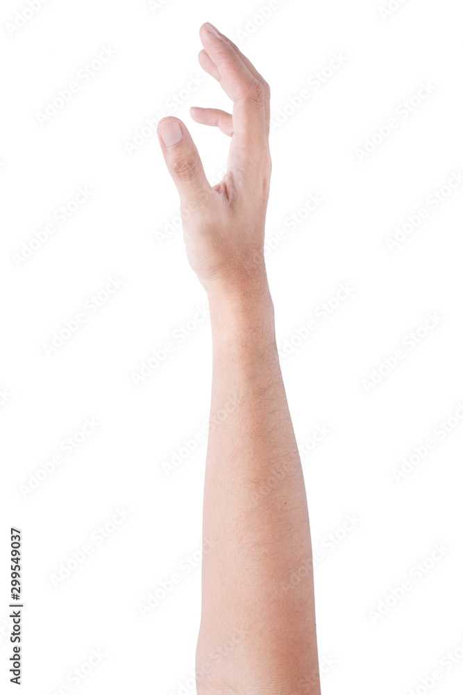 Male asian hand gestures isolated over the white background. Soft Grab Action. Male asian hand gestures isolated over the white background. Soft Grab Action.