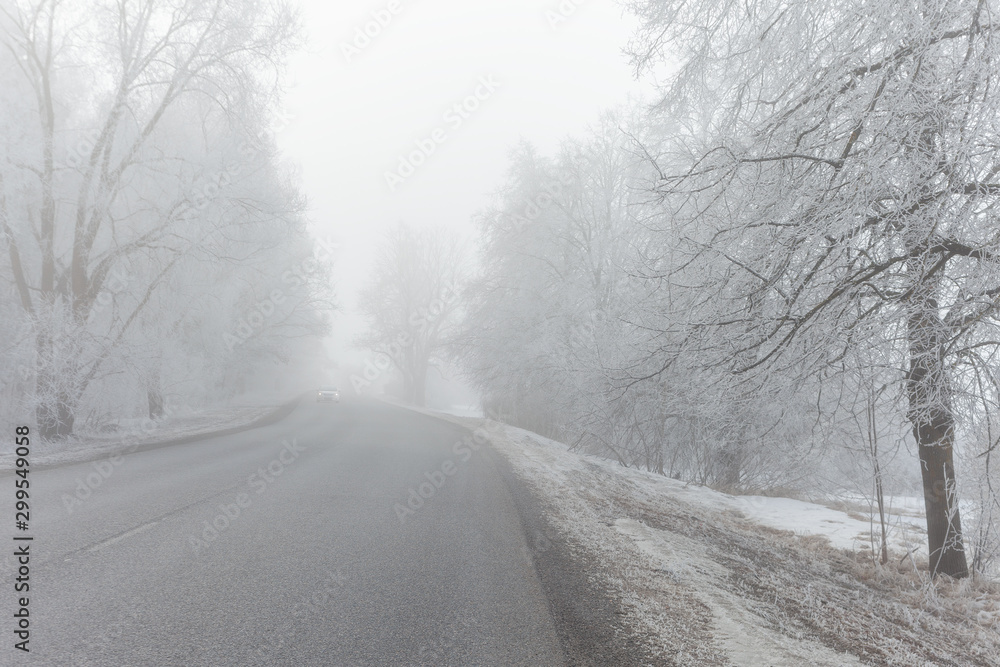 Fototapeta premium Misty and freosty winter morning.