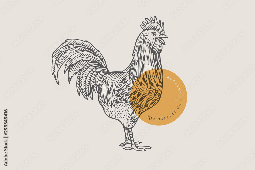 Fotografie, Obraz Retro engraving rooster