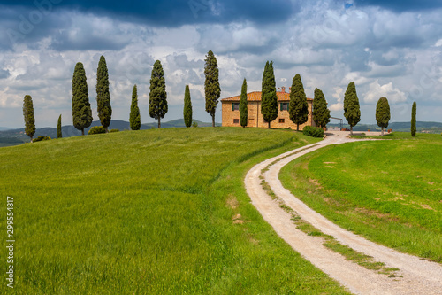 Farmhouse with cypress trees, near Pienza, Orcia Valley (Val dOrcia), Siena region, Tuscany, Italy.